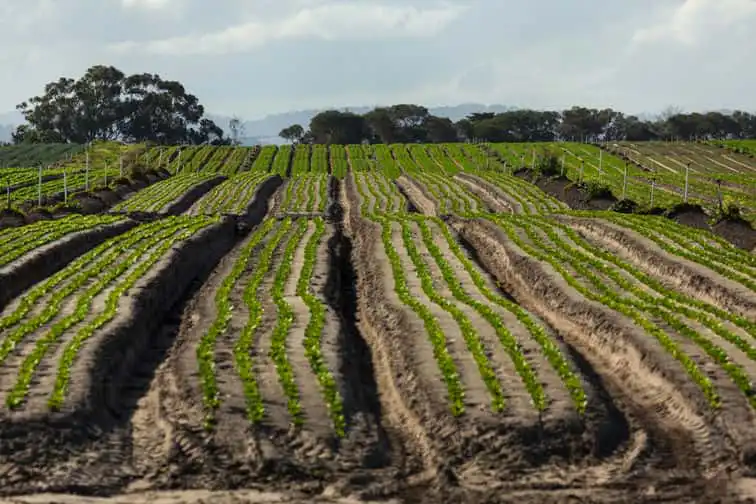 photo 1755931359671 429ecd977b83